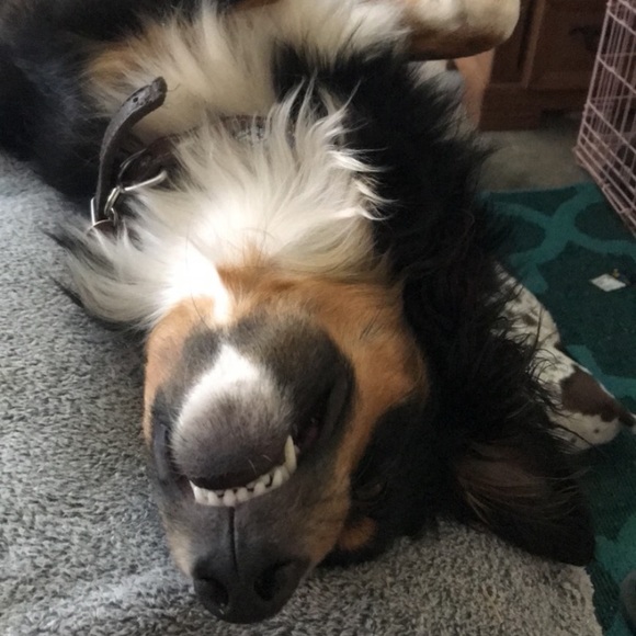 Meet your Posher, Jordyn - Picture 1 of 1